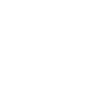 SEM